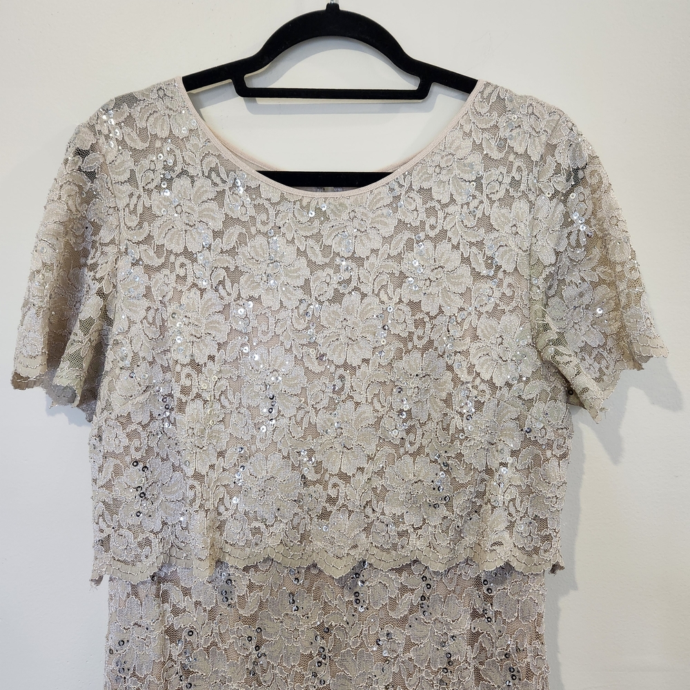 R&M Richards Blush Lace Gown With Sequins - Picture 3 of 8